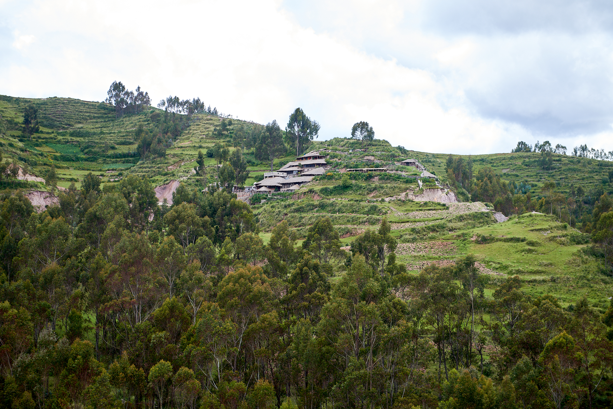 20200307 511 [페루] 신세로
